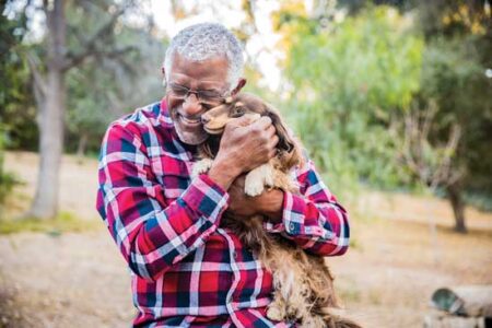 Herbal Ear Wash Recipe for Your Pet Image